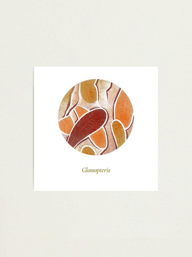 Alternate view of The Circles of Life: Glossopteris Photographic Print