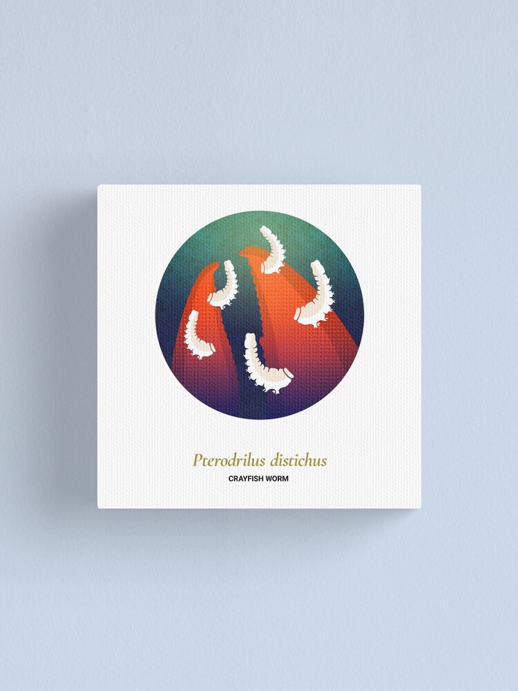 Alternate view of The Circles of Life: Crayfish Worm Canvas Print