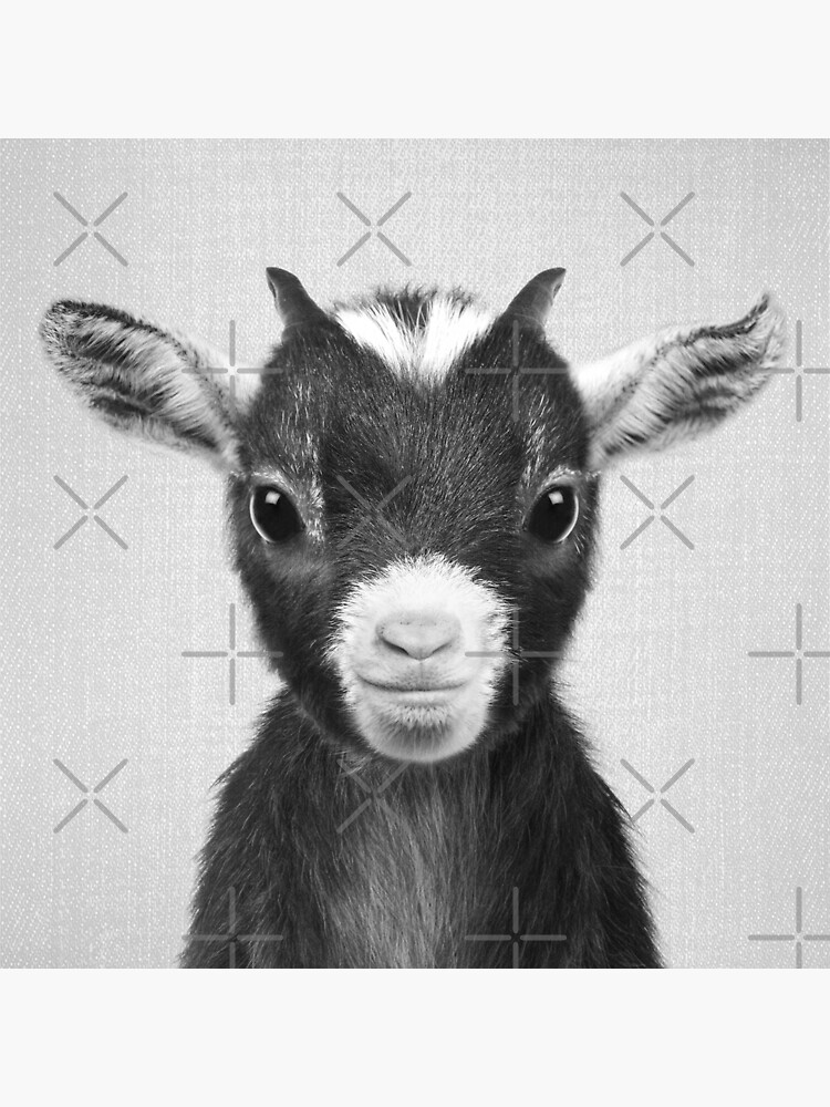Tarjetas De Felicitacion Cabra Bebe Blanco Y Negro De Galdesign Redbubble