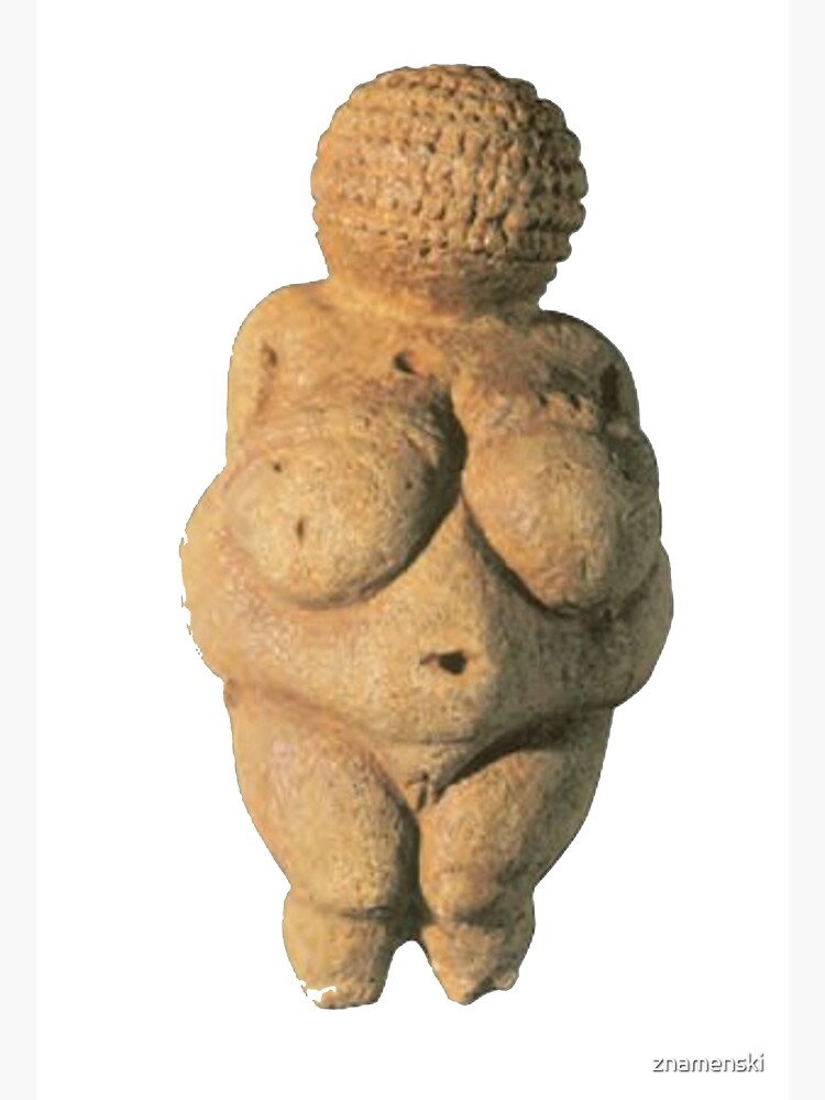 #Venus of #Willendorf #artifact sculpture art figurine statue humanbody #VenusofWillendorf by znamenski