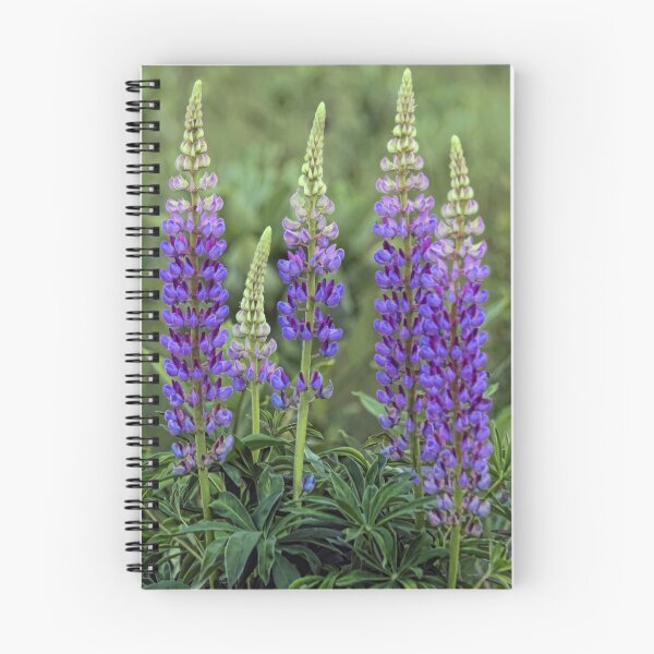Item preview, Sundial - Wild Maine Lupine designed and sold by T.J. Martin.