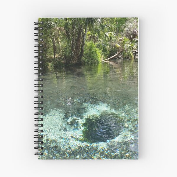 Item preview, Seven Sisters Florida freshwater springs designed and sold by DariArts.