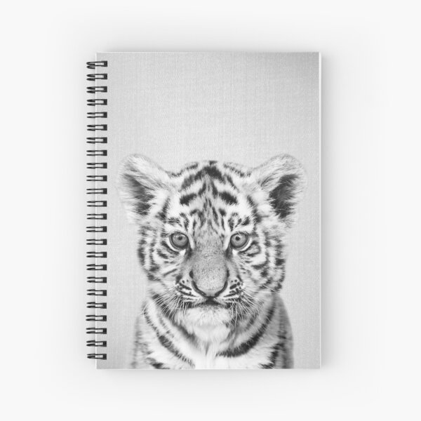 Gal Pittel - 'Baby Tiger - Black & White