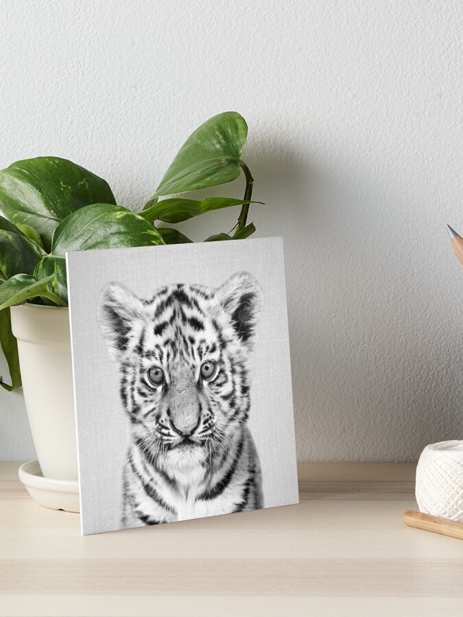 Baby Tiger - Black & White Art Print by Gal Design