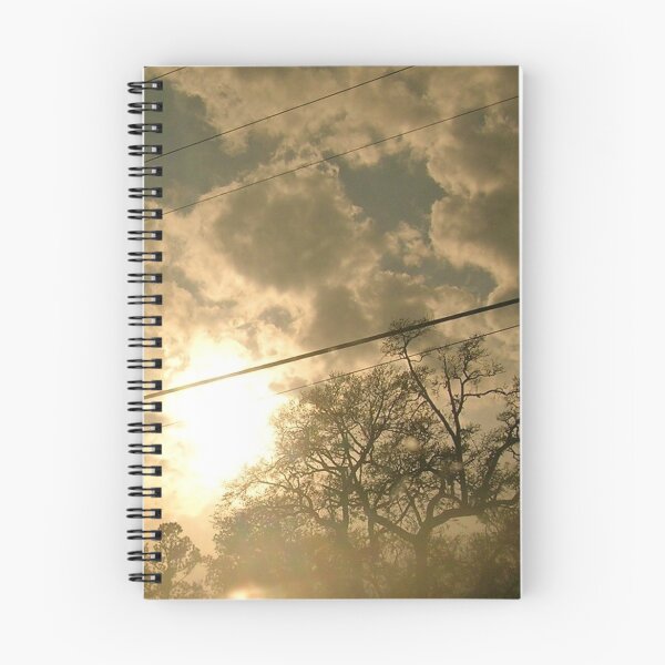 Item preview, Sunbreak behind a Creepy Tree designed and sold by Kristin Sharpe.