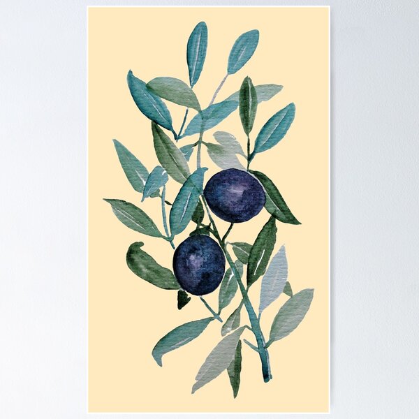 Sunny Olive Branch Poster