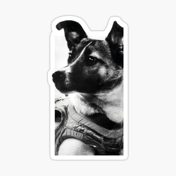 Laika Лайка Sticker