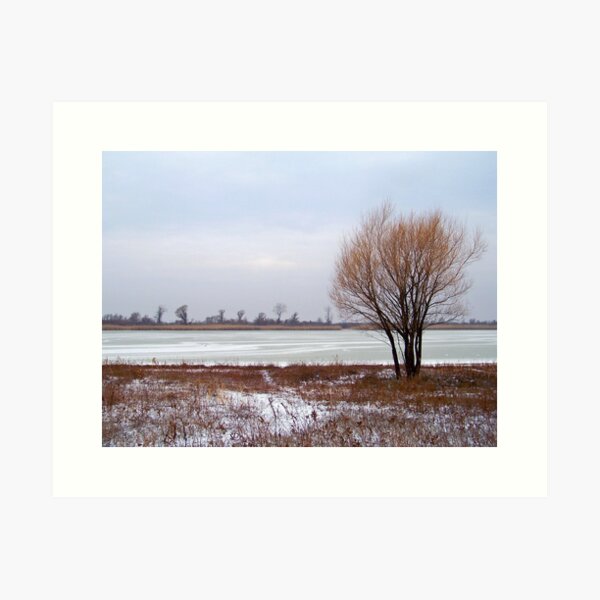 Item preview, Winter At Jamaica Bay Wildlife Refuge designed and sold by Dandelion Dilluvio.