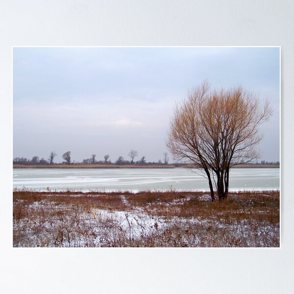 Item preview, Winter At Jamaica Bay Wildlife Refuge designed and sold by Dandelion Dilluvio.