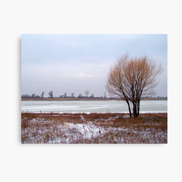 Item preview, Winter At Jamaica Bay Wildlife Refuge designed and sold by Dandelion Dilluvio.