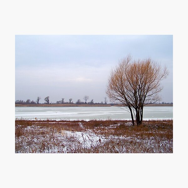 Item preview, Winter At Jamaica Bay Wildlife Refuge designed and sold by Dandelion Dilluvio.