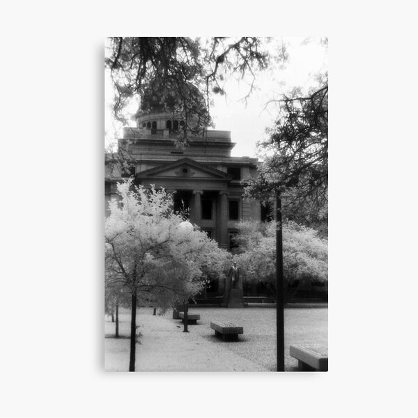 Texas A&M Academic Canvas Print
