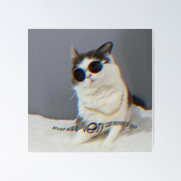 Cat Shitpost meme Art Board Print for Sale by Season's Store