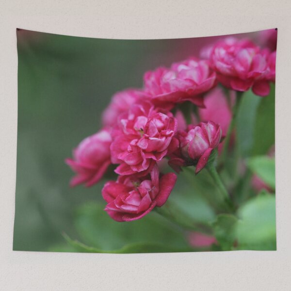 Item preview, Red Hawthorn designed and sold by cuprum.