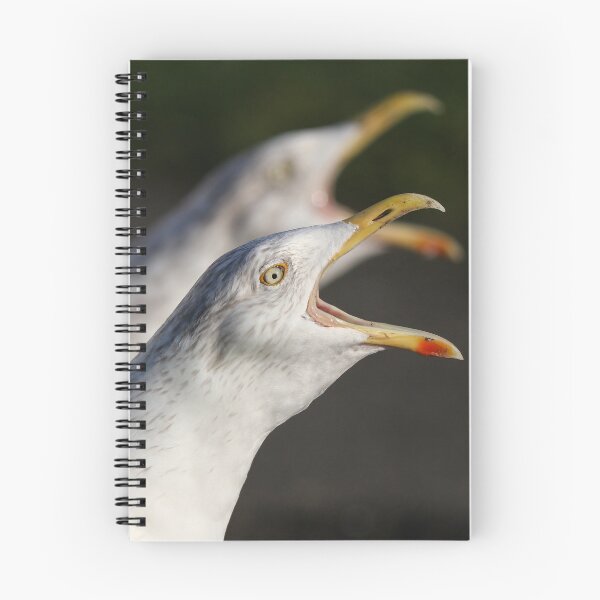 Item preview, Gull duet designed and sold by GreyFeatherPhot.