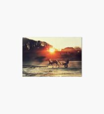 Pony und Falle am Bettystown Strand Galeriedruck