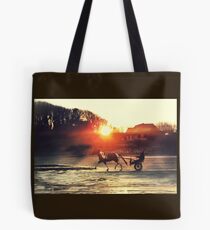 Pony und Falle am Bettystown Strand Tasche