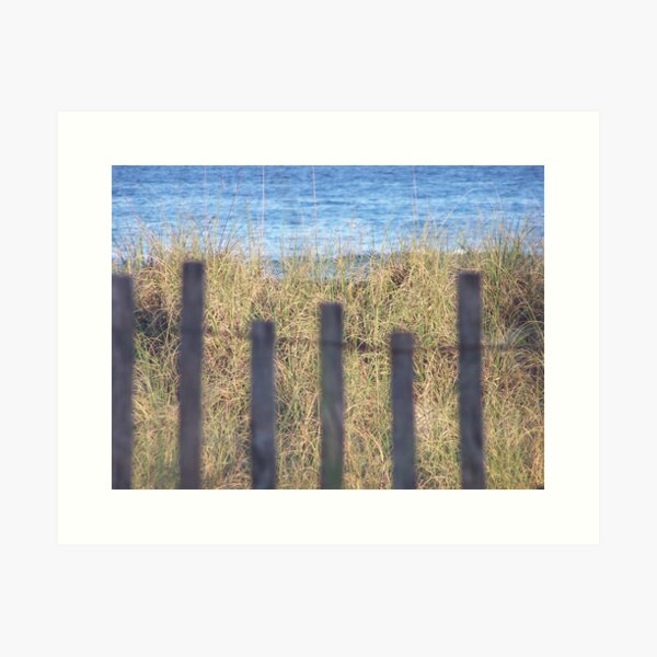 Beach Fence Art Print
