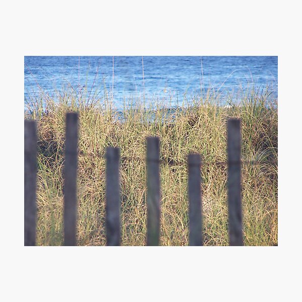 Beach Fence Photographic Print