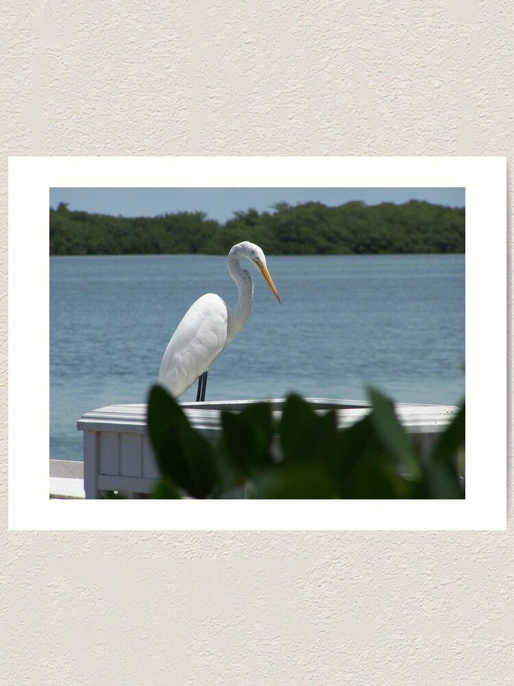 Alternate view of Great White Heron Art Print