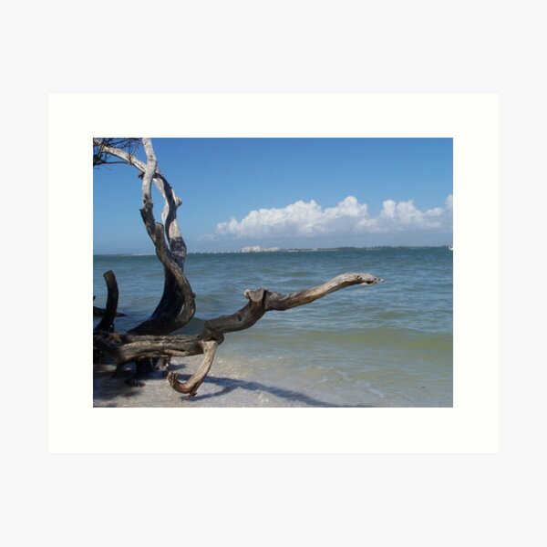 Bowman Beach, Sanibel Island Art Print