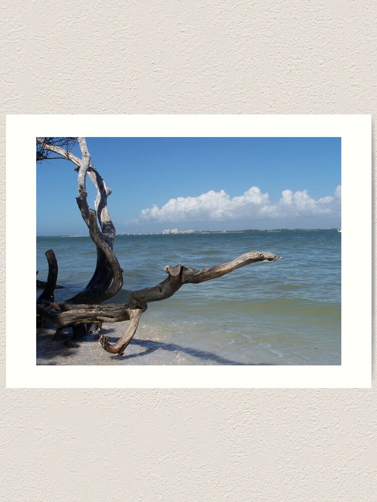 Thumbnail 2 of 3, Art Print, Bowman Beach, Sanibel Island designed and sold by DianaTaylor/ JacksonDunes.