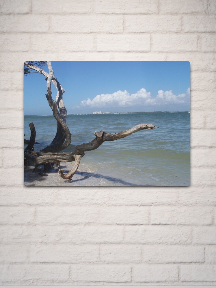 Alternate view of Bowman Beach, Sanibel Island Metal Print