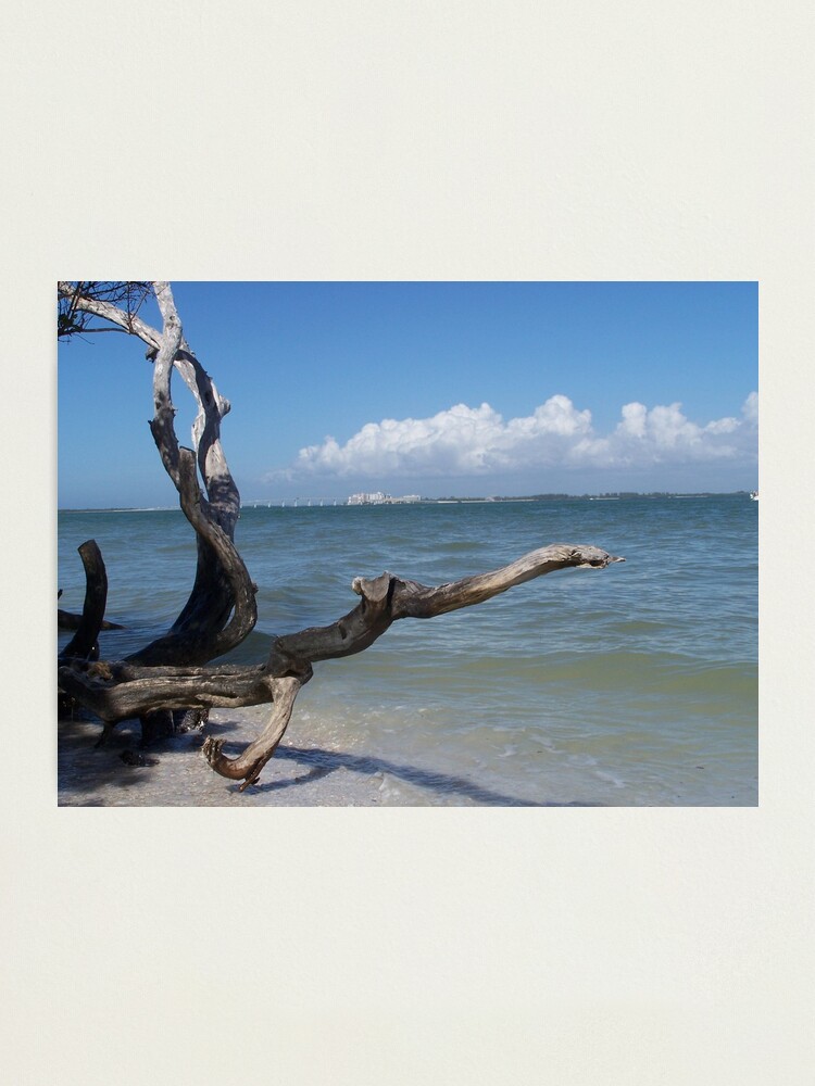 Alternate view of Bowman Beach, Sanibel Island Photographic Print