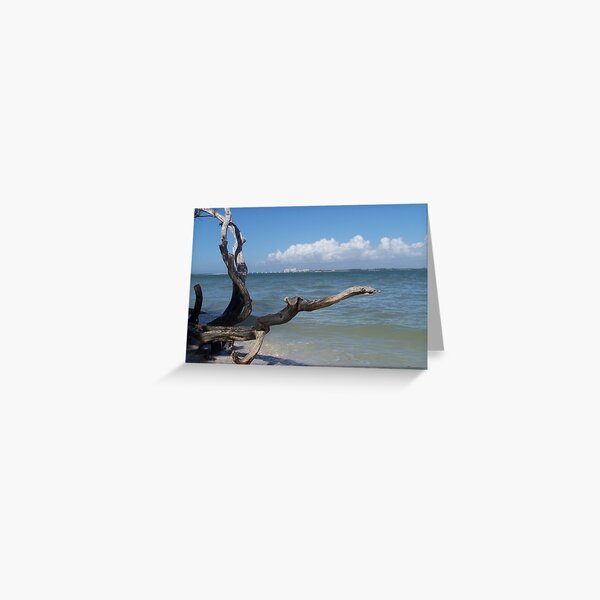 Bowman Beach, Sanibel Island Greeting Card