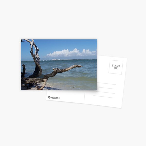Bowman Beach, Sanibel Island Postcard