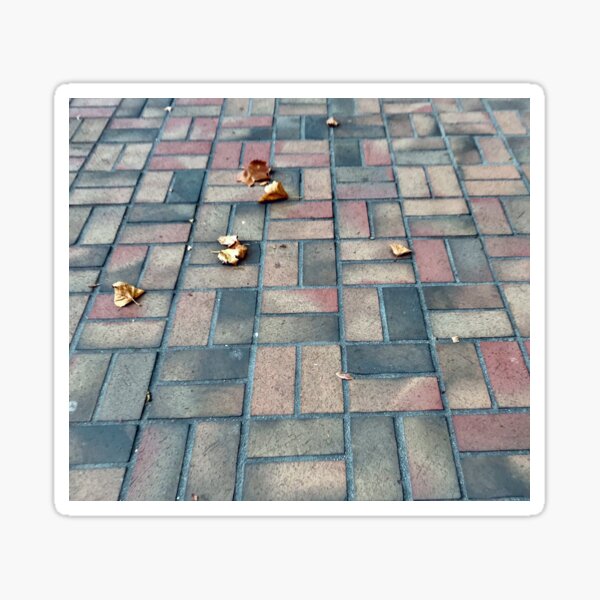 Emanuel Bricks Sticker