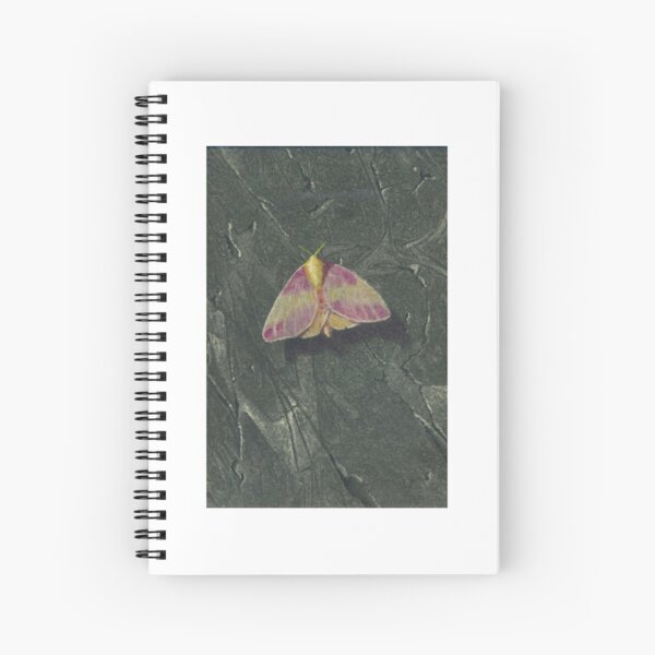 Rosy Maple Moth Spiral Notebook