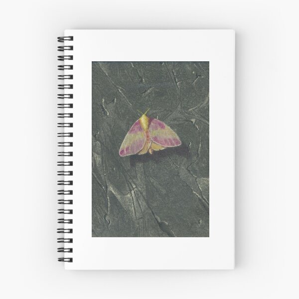 Item preview, Rosy Maple Moth designed and sold by Michael Douglas Jones.