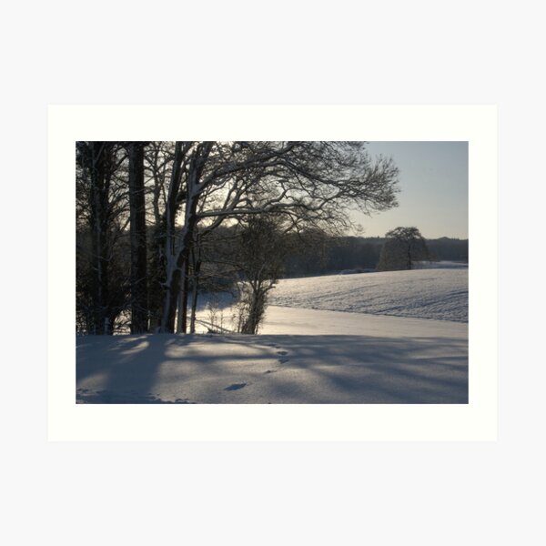 Tracks in the afternoon Art Print
