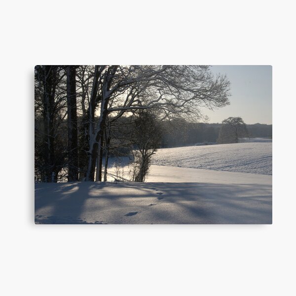 Tracks in the afternoon Metal Print