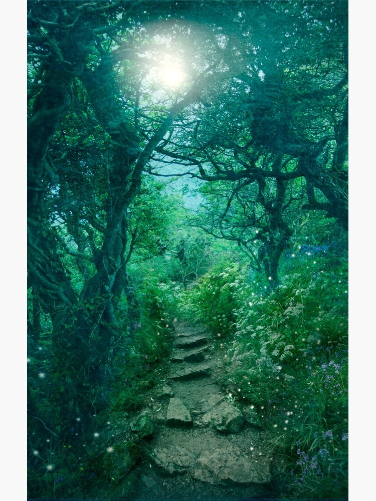The Secret Path by AngelaBarnett