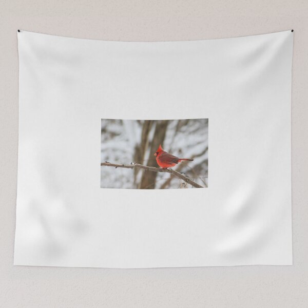 Item preview, Male Cardinal designed and sold by Alyce Taylor.