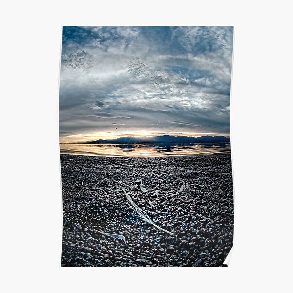 Feather on the Shore: Salton sea Poster