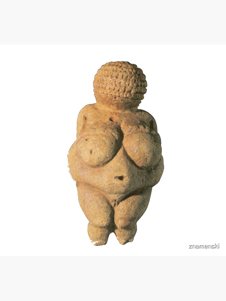 #Venus of #Willendorf #artifact sculpture art figurine statue humanbody #VenusofWillendorf by znamenski