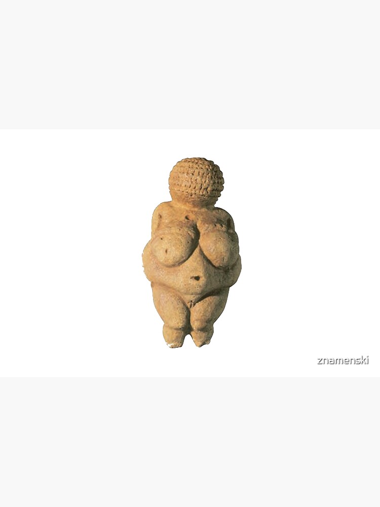 #Venus of #Willendorf #artifact sculpture art figurine statue humanbody #VenusofWillendorf by znamenski