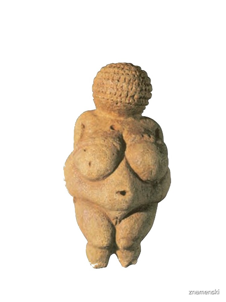 #Venus of #Willendorf #artifact sculpture art figurine statue humanbody #VenusofWillendorf by znamenski