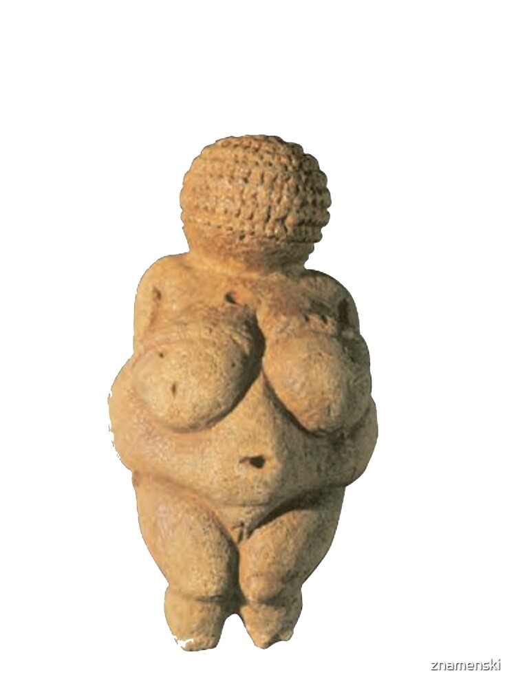 #Venus of #Willendorf #artifact sculpture art figurine statue humanbody #VenusofWillendorf by znamenski