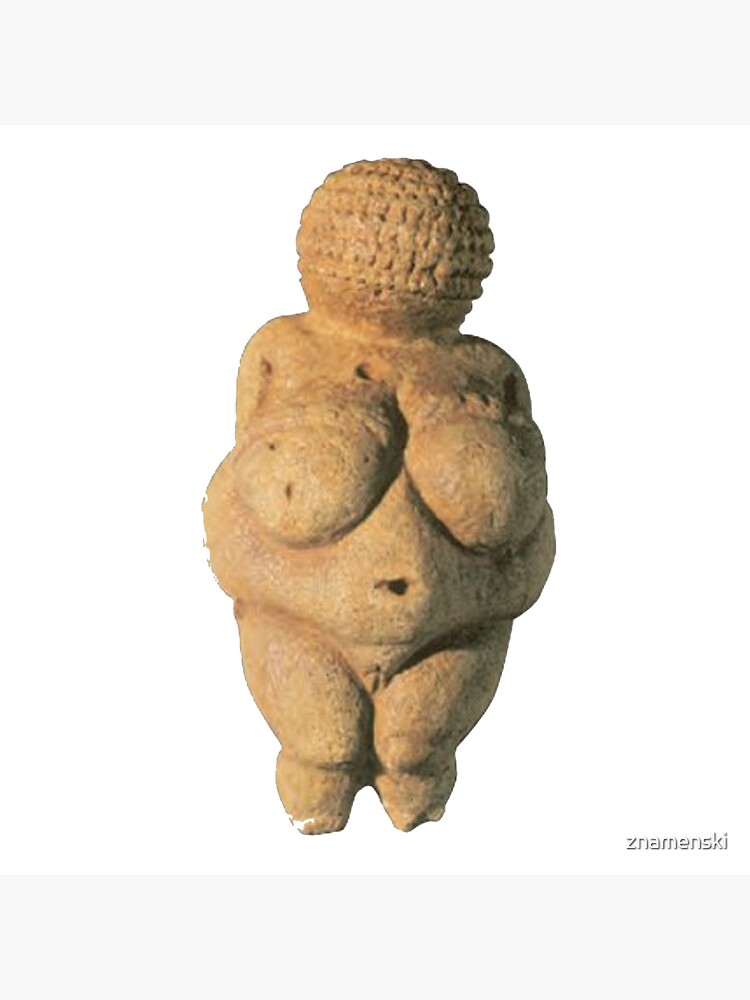 #Venus of #Willendorf #artifact sculpture art figurine statue humanbody #VenusofWillendorf by znamenski
