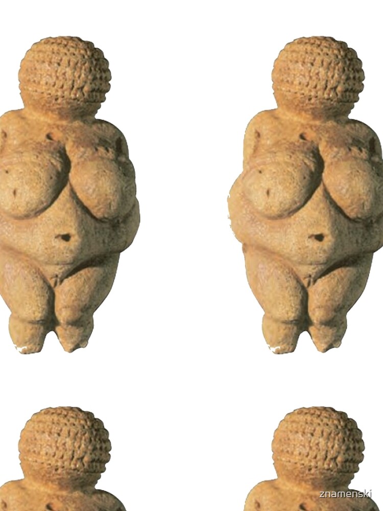 #Venus of #Willendorf #artifact sculpture art figurine statue humanbody #VenusofWillendorf by znamenski