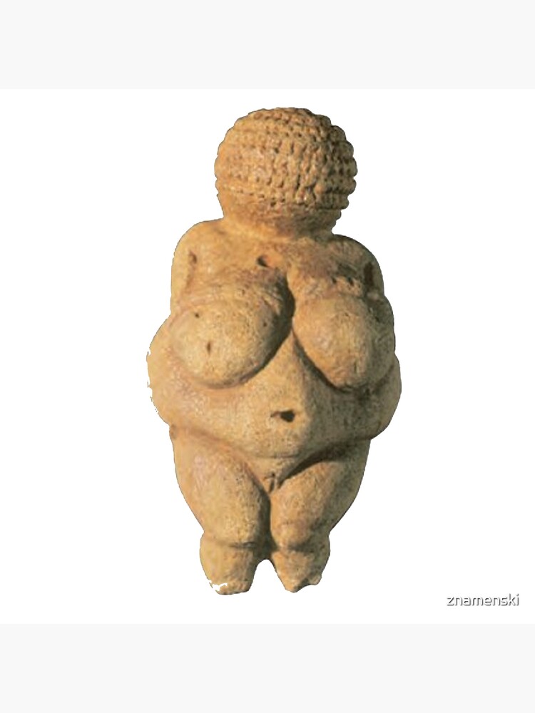 #Venus of #Willendorf #artifact sculpture art figurine statue humanbody #VenusofWillendorf by znamenski