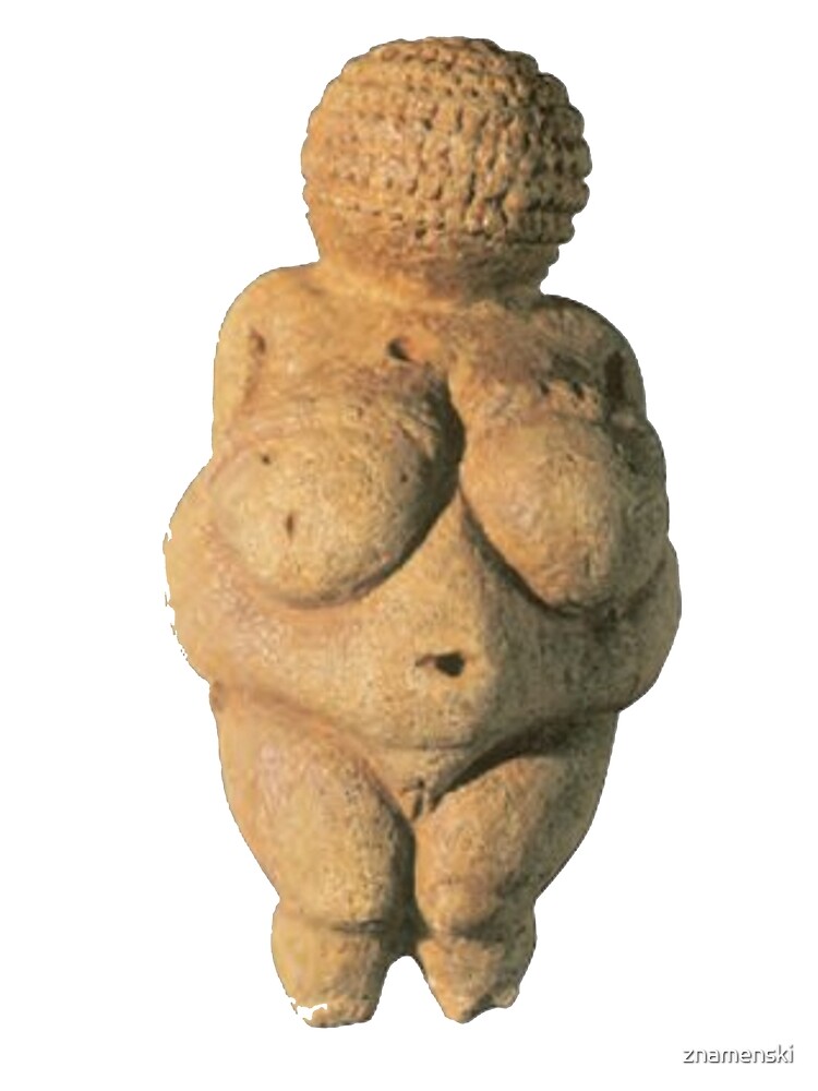 #Venus of #Willendorf #artifact sculpture art figurine statue humanbody #VenusofWillendorf by znamenski