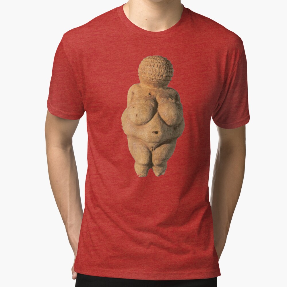 #Venus of #Willendorf #artifact sculpture art figurine statue humanbody #VenusofWillendorf Tri-blend T-Shirt