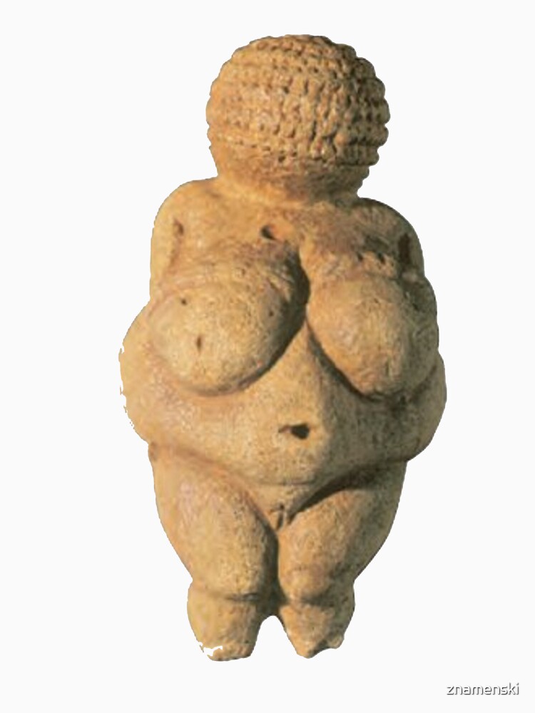 #Venus of #Willendorf #artifact sculpture art figurine statue humanbody #VenusofWillendorf by znamenski