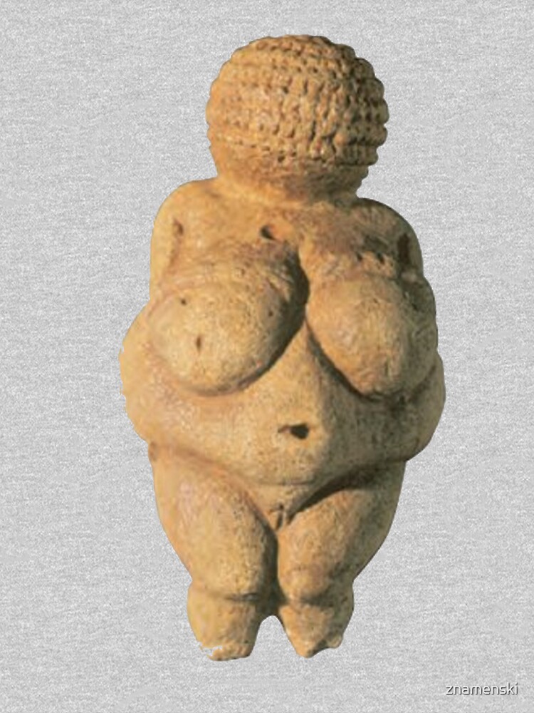 #Venus of #Willendorf #artifact sculpture art figurine statue humanbody #VenusofWillendorf by znamenski