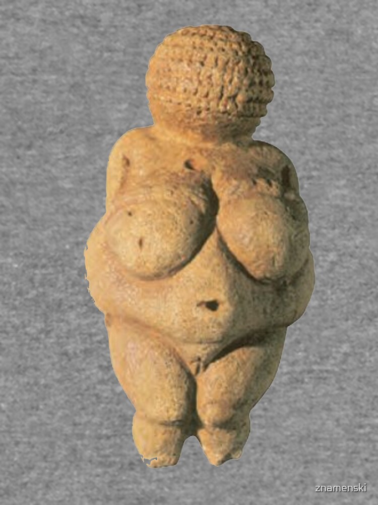 #Venus of #Willendorf #artifact sculpture art figurine statue humanbody #VenusofWillendorf by znamenski